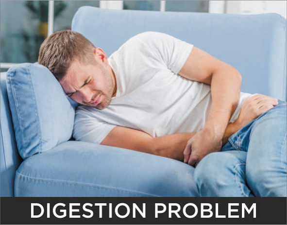 digestion