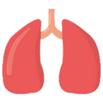 lung1
